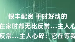 银丰配资 平时好动的狗子自己在家时却无比反常…主人心碎：它在等我